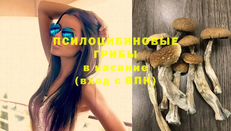 kraken зеркало  купить наркотик  это официальный сайт  Псилоцибиновые грибы Psilocybe  Луга 