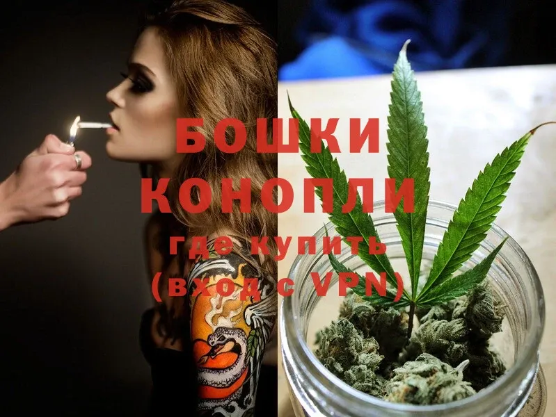 Бошки Шишки SATIVA & INDICA  Луга 